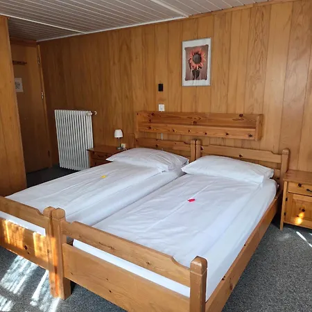 Hotel Aletsch-3