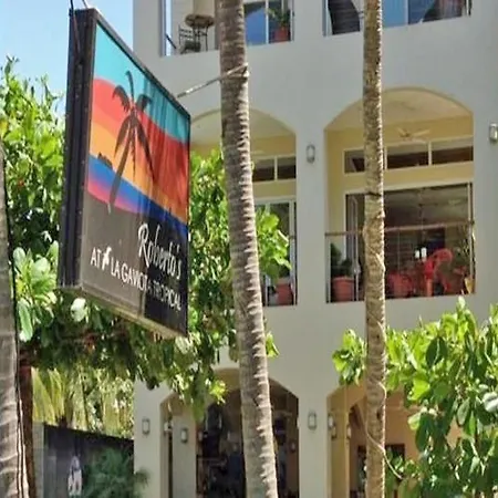 Hotel La Gaviota Tropical-3
