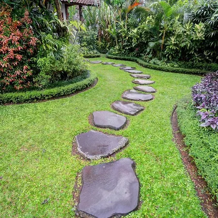 Bali Dream Resort Ubud-2