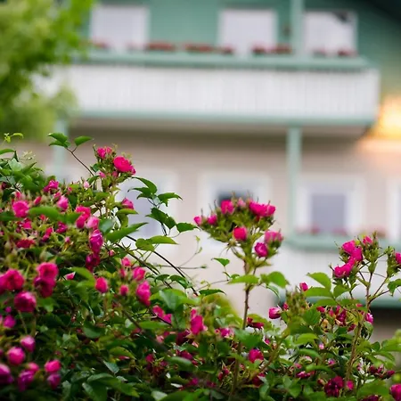 Gartenhotel Salzach-2