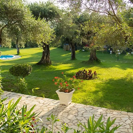 Saint Nicholas Hotel-3