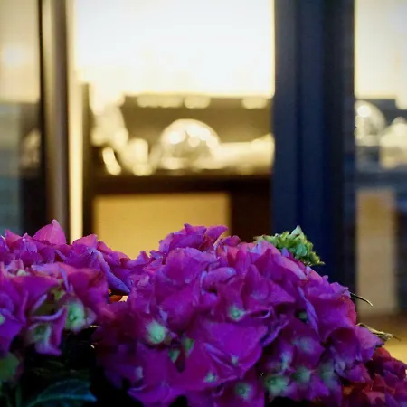 Hotel Merian-2