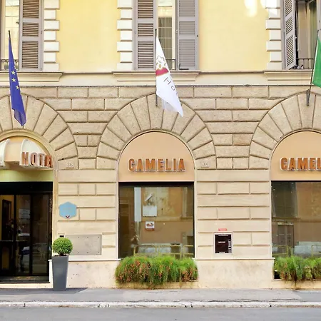 Hotel Camelia-3