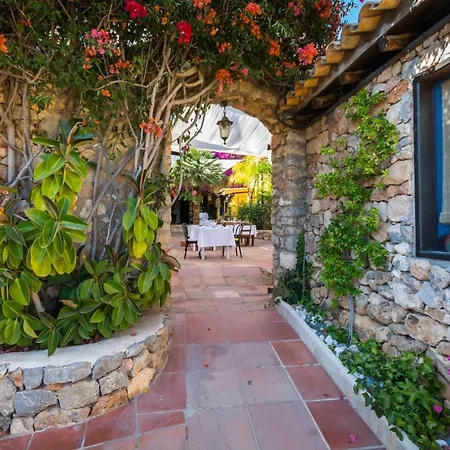 Pikes Ibiza (Adults Only)-3