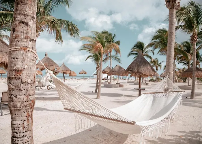 Blue Holbox