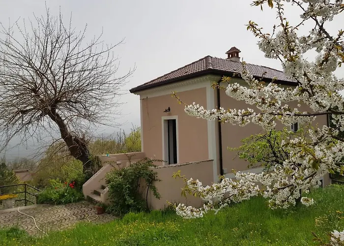  L'Antico Gelso