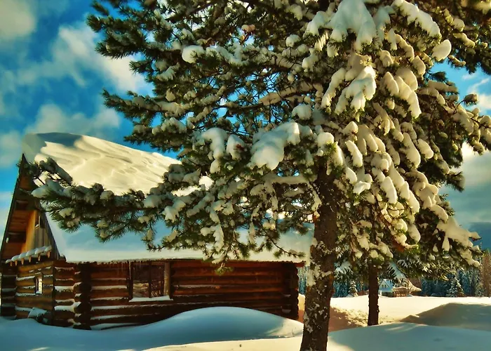 Pet Friendly hotel: Rocky Ridge Resort-Bc