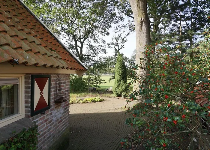 Saksisch Boerderijtje