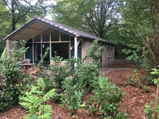 Villa met zwembad: Vakantiebungalow De Schaapskooi