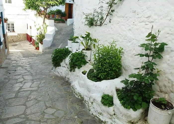 Alvarado Loft Rural