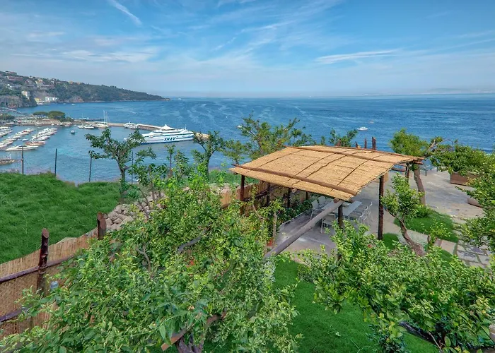 Amore Rentals - Galidia