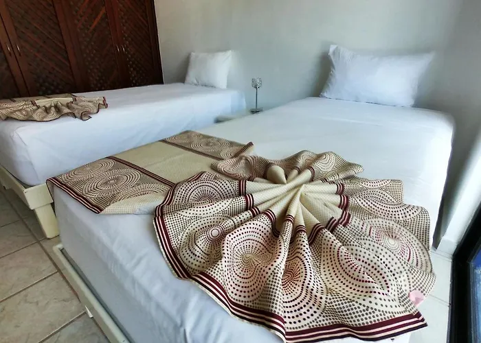 Vida Playa Suites