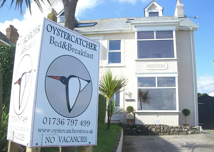 B&B only: Oystercatcher