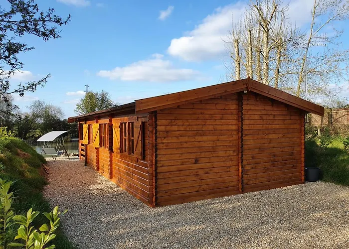 Pets Allowed Hotel Kingfisher Cabin
