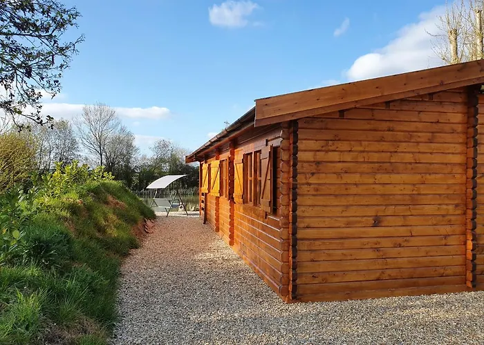 Pets Allowed Hotel Kingfisher Cabin