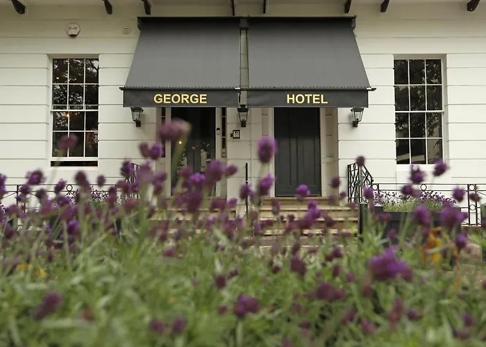 The George