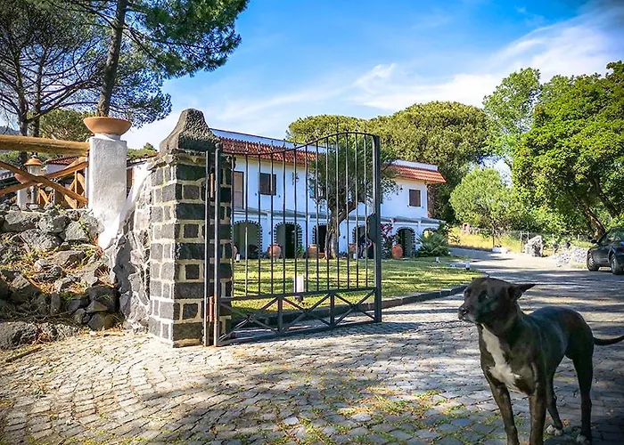 Hotel adatto agli animali: Hotel Sirio