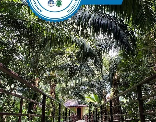 Hôtel avec piscine: Khaosok Good View Resort - Sha Plus