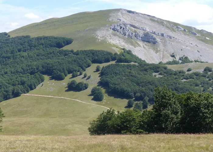 Domaine Du Murier