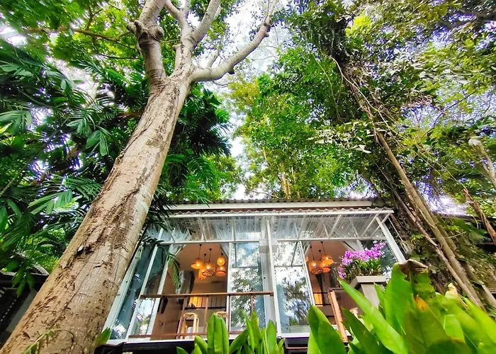 Rain Forest