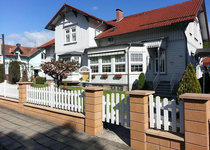 HarzFokus - ##Pension#Frühstück