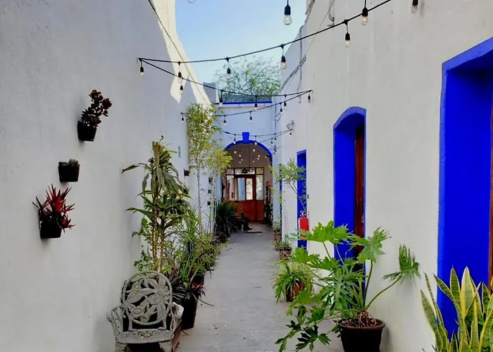  Ikali