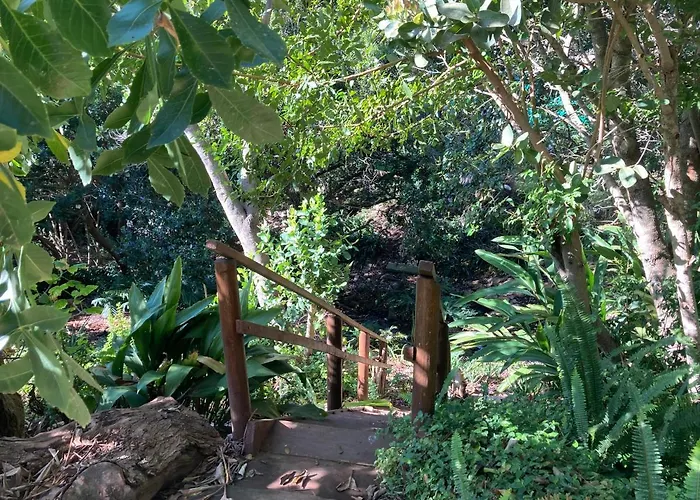 The Lookout Deck - Near Secrets Beach