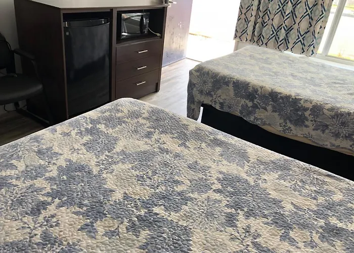 Pet Friendly hotel: Budget Inn Express Bristol