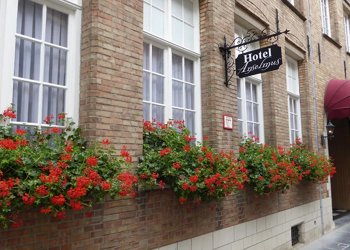 Hôtel: The Black Swan Hotel