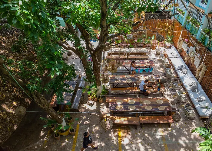 Cheap hotel: Selina Playa Del Carmen