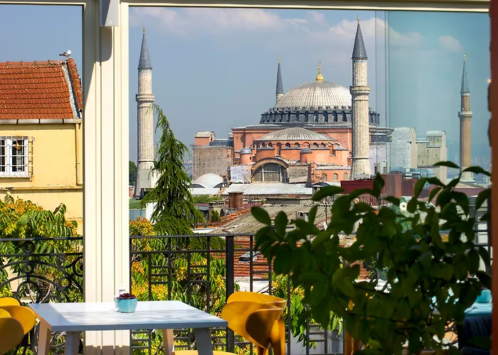 Nowy Efendi - Special Category