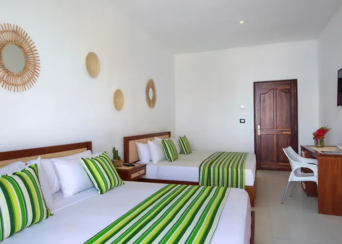 Resort: Whala!Bayahibe (Adults Only)