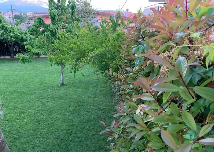 Hotel per sciatori: B&B The Garden