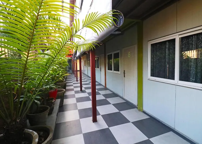 Pet Friendly hotel: Hotel The Cube Stay