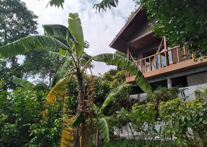 Tree House Bungalows Koh Tao