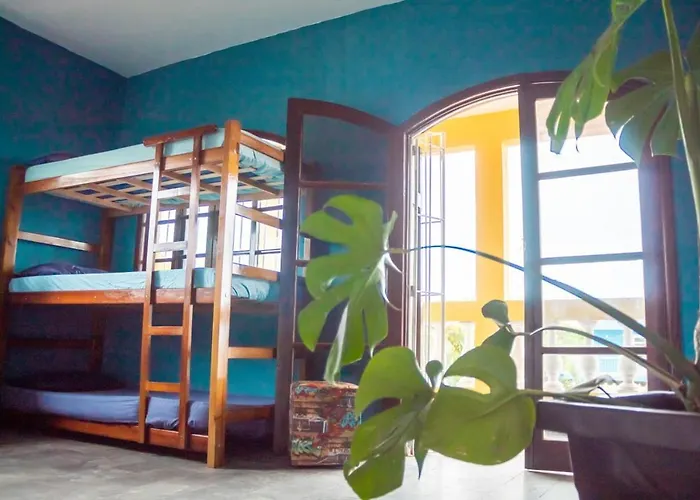 Casa de hóspedes: Pousada Ocean - Beira Mar - Sesc