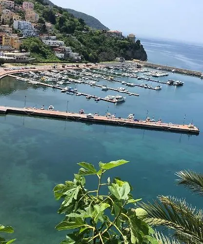 Hotel adatto agli animali: Suites Luisa Sanfelice