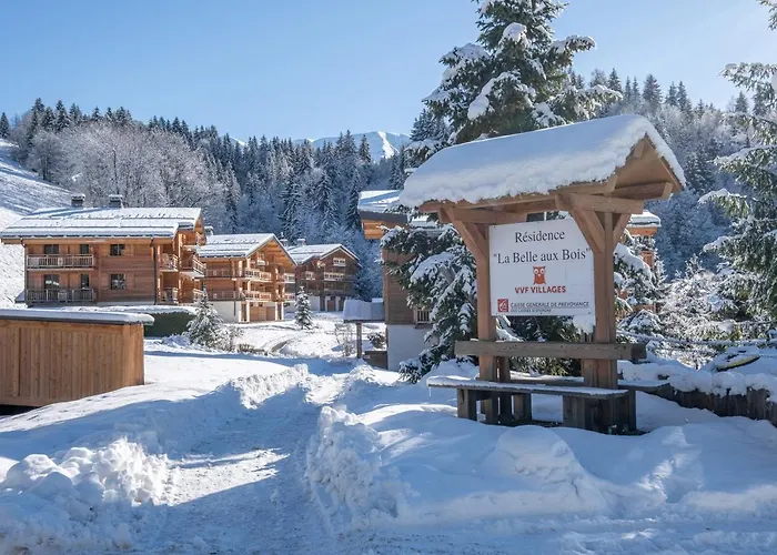 VVF Villages La Belle au Bois à Megève