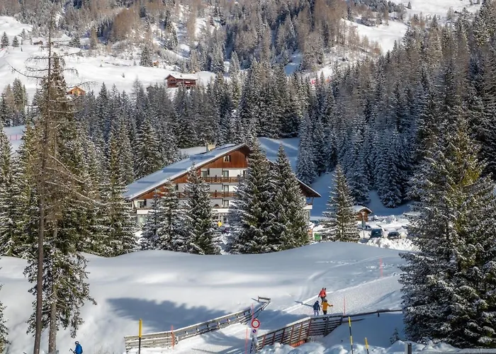 Pet Friendly hotel: Hotel Planac