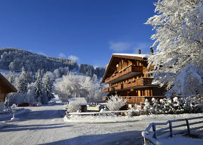 Hotel Bellerive Gstaad