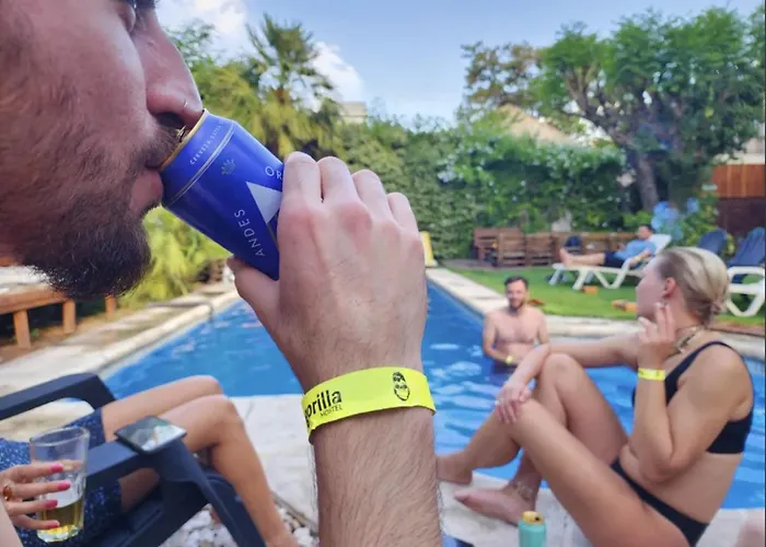 Hostel: Gorilla Hostel