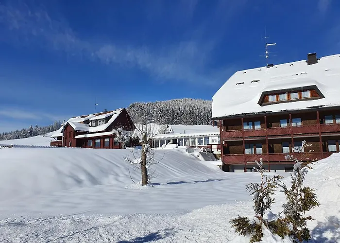 B Und B Titisee Sonnenmatte Nahe Badeparadies
