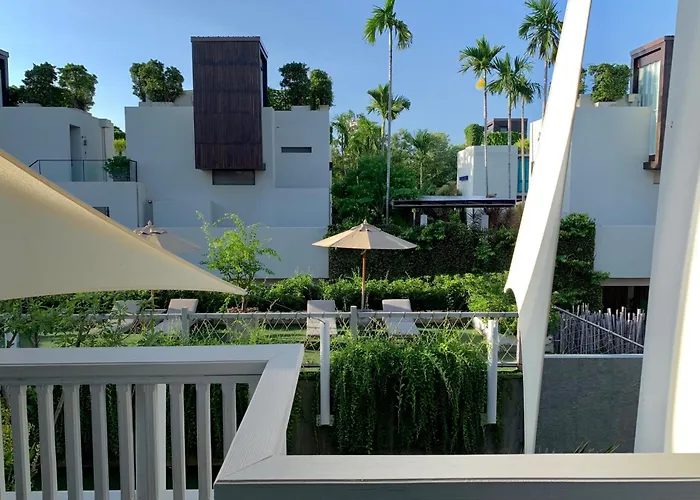 Loligo Hua Hin