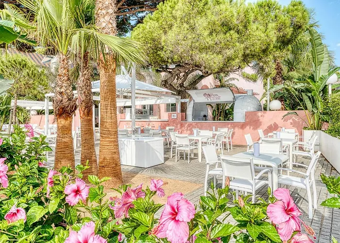 Hôtel de plage: The Pink Elephant Hotel