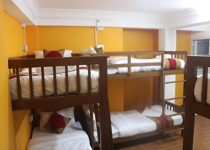 Pet Friendly hotel: Nepalaya Home Hostel