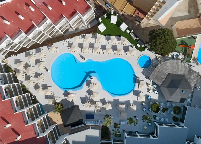 Hôtel accueillant les animaux: Palmanova Suites By Trh (Adults Only)