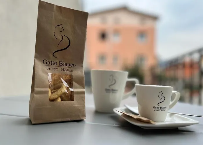  Gatto Bianco