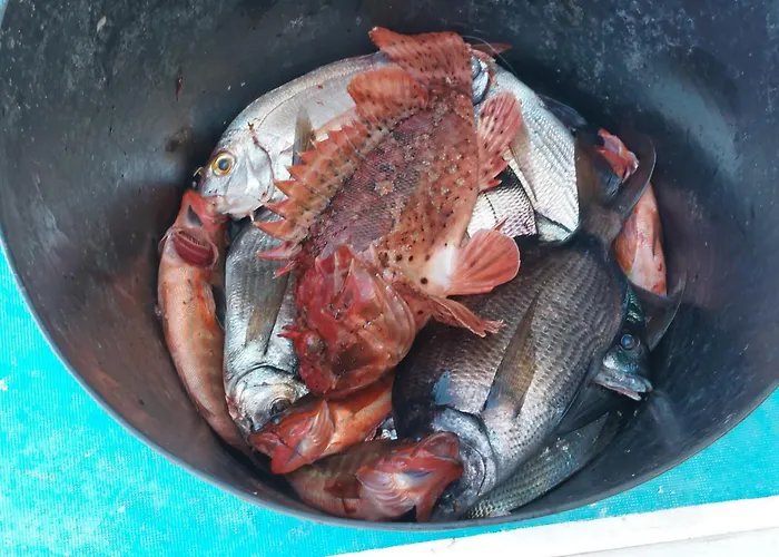 El Cambaral Del Puerto