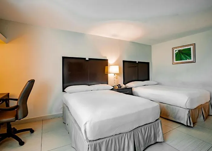 Studio Coliving Hotel