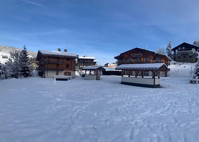 VVF Villages La Belle au Bois à Megève